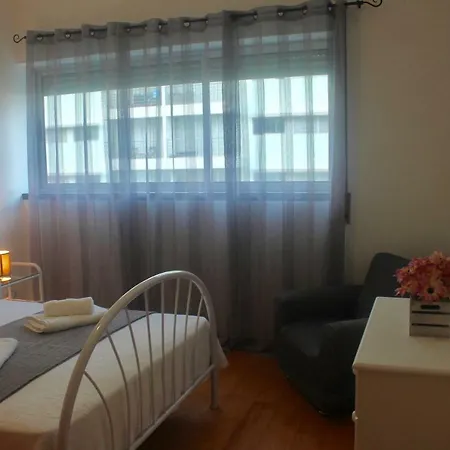 Paim Ponta Delgada (Sao Miguel)